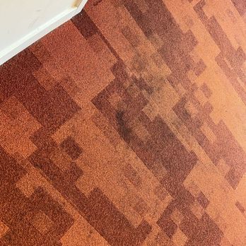 Cheshill on Mission - Dirty carpeting - Apartments Near Me - San Francisco, California Cheshill on Mission - Dirty carpeting - Apartments Near Me - San Francisco, California