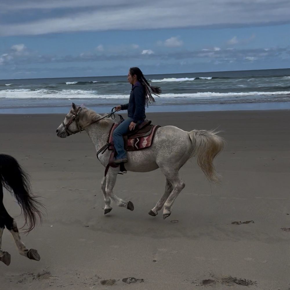 M&R Beach Rides - Horseback Riding Near Me M&R Beach Rides - Horseback Riding Near Me