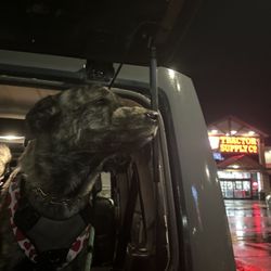 Tractor Supply - A squeaky clean boy