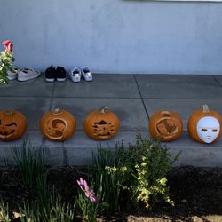 Sozo Recovery Residence - Every year Sozo Recovery residence hosts a pumpkin carving contest to keep our sober living residents involved with fun activities.
