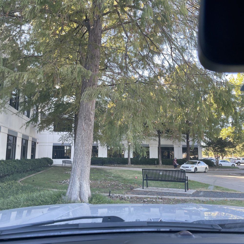 THE BEST 10 CARDIOLOGISTS in PLANO, TX - Updated 2026 - Hours - Yelp