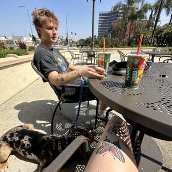 OffLeash SoCal - Pet Training Near Me - Santa Monica, California