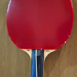 Gambler Table Tennis - Hinoki wood