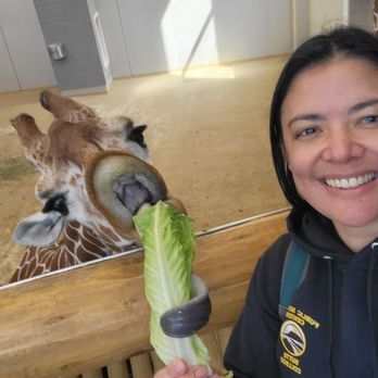 Lincoln Children's Zoo - Amusement Parks Near Me - Lincoln, Nebraska