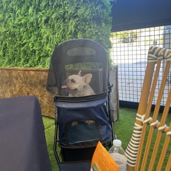 Bocado - Patio - Mexican Near Me - Dallas, Texas