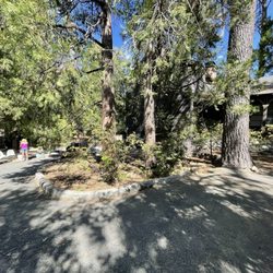Owl Pine Shop - Exterior of the driveway going down to the shop