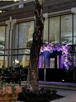 Sequoia DC by null