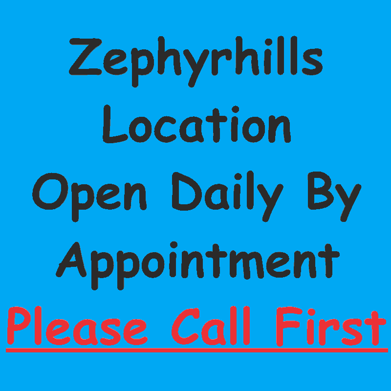 TAMPA BONSAI Updated September 2024 1541 Warbler St, Zephyrhills