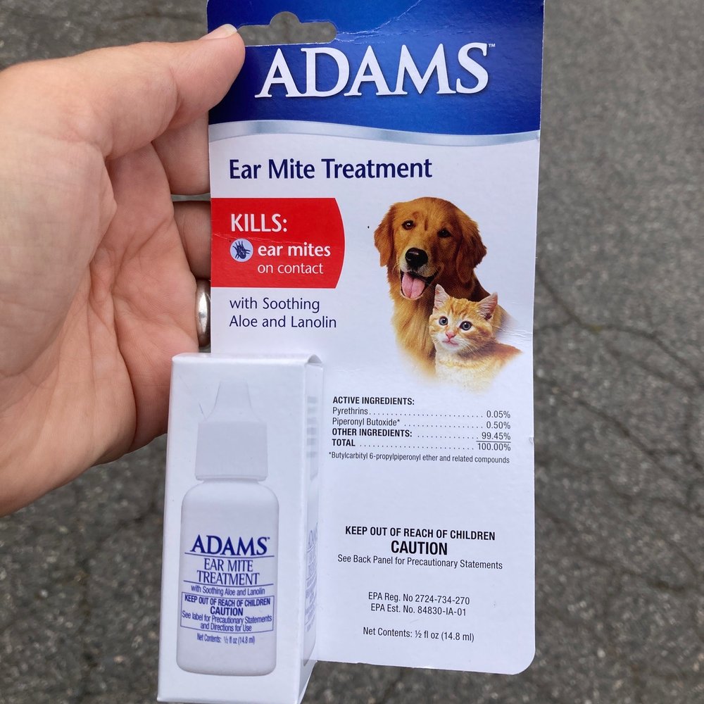 Fin & Feather Pet Center - Kitty ear meds - Local Fish Stores Near Me - Ashland, Virginia