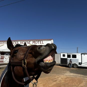 Happy Tracks Horse Motel - Horse motel - Hotels Near Me - Amarillo, Texas Happy Tracks Horse Motel - Horse motel - Hotels Near Me - Amarillo, Texas