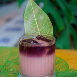Zazá Bistrô Tropical - Shallow - Infused Gold Label with tea, marshmallow syrup, lime juice, Campari