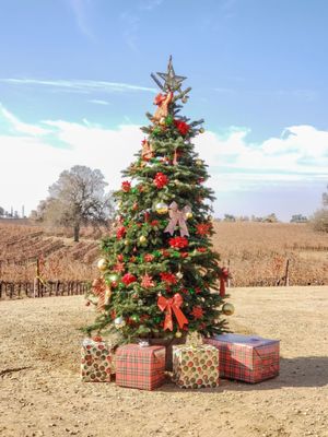 Bokisch Vineyards by null