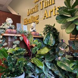 Dusit Thai Healing Arts & Spa - The spa owner also has a green thumb! (Plants are not for sale)