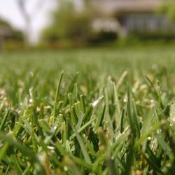 Irrigation Solutions
