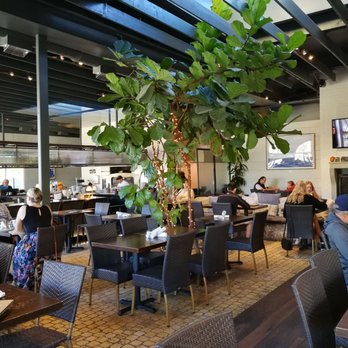 Ollo - Interior - New American Near Me - Malibu, California Ollo - Interior - New American Near Me - Malibu, California