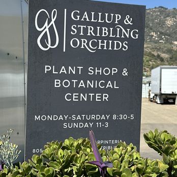 Gallup & Stribling Orchids - Signage you're in the right place - Visitor Centers Near Me - Carpinteria, California Gallup & Stribling Orchids - Signage you're in the right place - Visitor Centers Near Me - Carpinteria, California