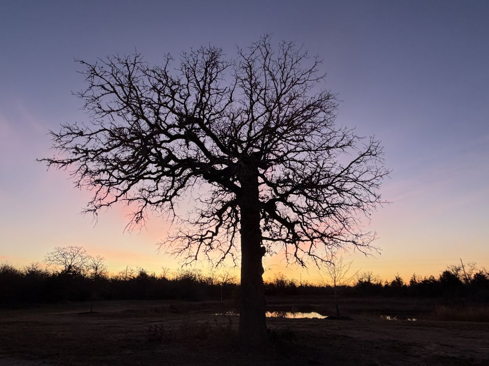 Busted Oak Cellars - Photo 3