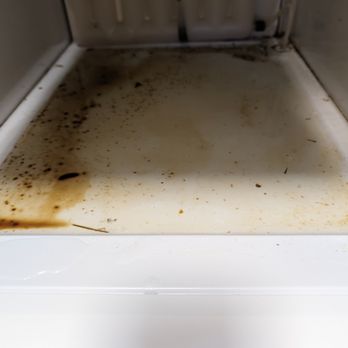 Dynamic Duo & Co - Before photo ( fridge had rotten food left over all winter) - Home Cleaning Near Me - Alanson, Michigan