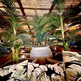 March 7, 2026 | Saturday | Inside | Decor