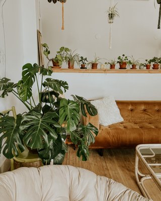 Café des Habitudes by null