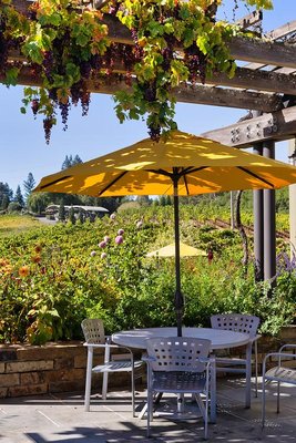 Lynmar Estate Winery by null