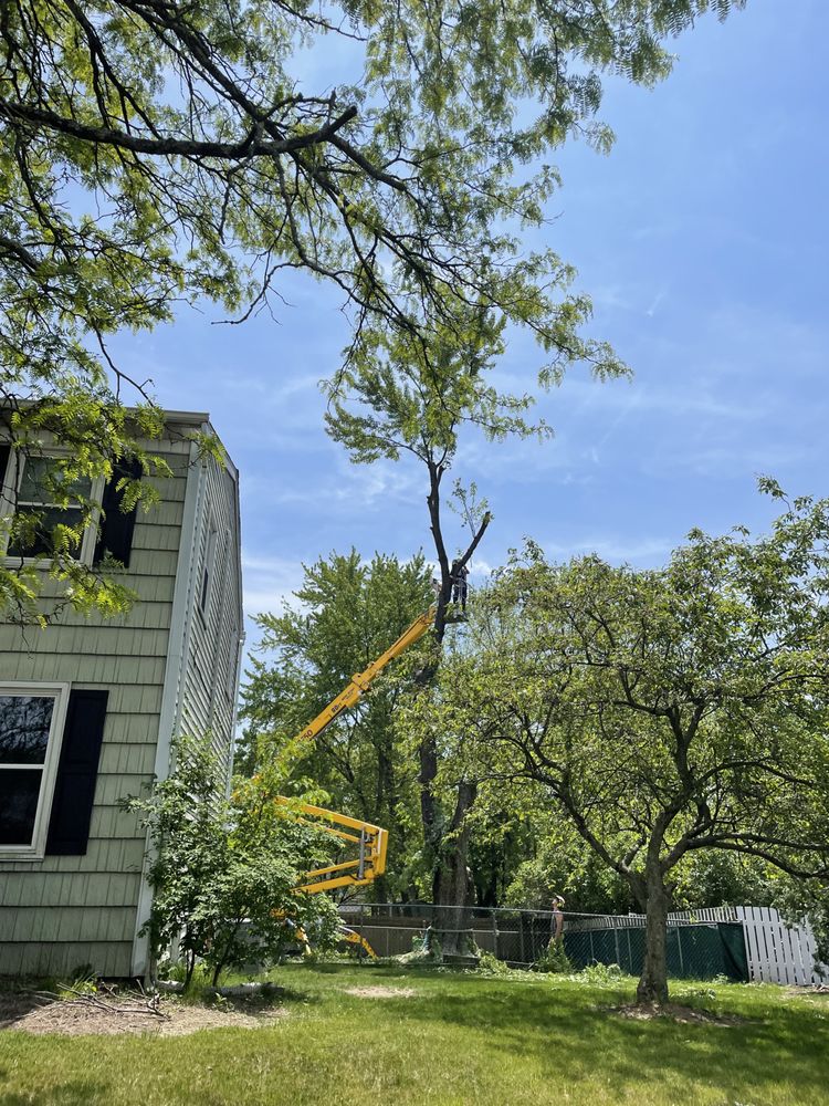 Good's Tree Care - tree service in Harrisburg, PA