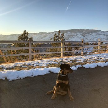 Charlie's Place - Pet Sitting Near Me - Reno, Nevada Charlie's Place - Pet Sitting Near Me - Reno, Nevada