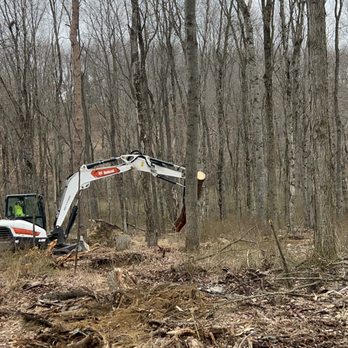 Vaughan's Tree Service and Landscaping - Tree Services Near Me - Tarentum, Pennsylvania Vaughan's Tree Service and Landscaping - Tree Services Near Me - Tarentum, Pennsylvania