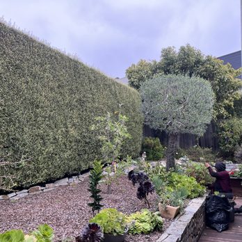 Valiente Landscape Contractor - Landscaping Near Me Valiente Landscape Contractor - Landscaping Near Me