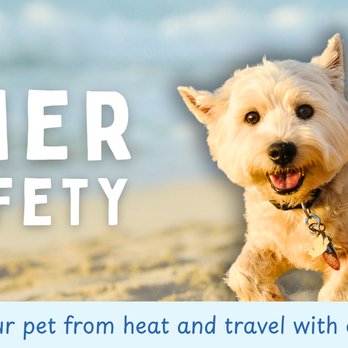 All Creatures Animal Hospital - Veterinarians Near Me - Graham, Washington All Creatures Animal Hospital - Veterinarians Near Me - Graham, Washington