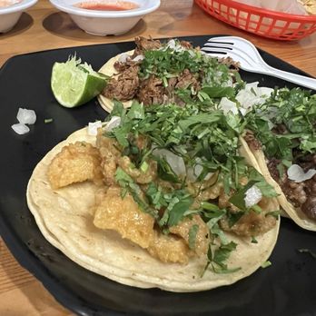 Orale Tacos • Bakery - Chicharron street taco. - Bakeries Near Me - Memphis, Tennessee Orale Tacos • Bakery - Chicharron street taco. - Bakeries Near Me - Memphis, Tennessee