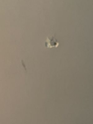 Da House Hotel by null