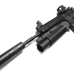 Assurance Arms
