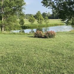 The Weingarten