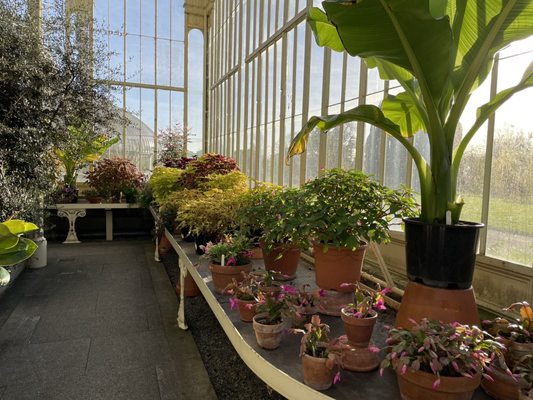 National Botanic Gardens by null