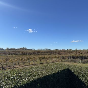 Wolffer Estate Vineyard - Vineyard - Wineries Near Me - Sagaponack, New York