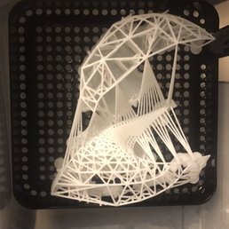 Model printed with their resin printer before they removed the support material Model printed with their resin printer before they removed the support material