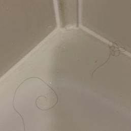 Clump of hair in my shower Clump of hair in my shower