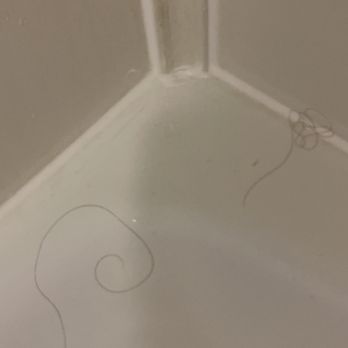 Comfort Inn Sandusky - Clump of hair in my shower - Hotels Near Me - Sandusky, Ohio Comfort Inn Sandusky - Clump of hair in my shower - Hotels Near Me - Sandusky, Ohio