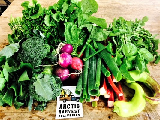 ARCTIC HARVEST DELIVERIES - Updated June 2026 - 25 Photos - 144 E
