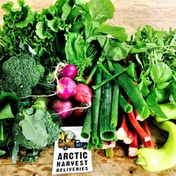 Arctic Harvest Deliveries