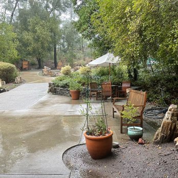 The Petrified Forest - Outdoor tables to sit and relax - Parks Near Me - Calistoga, California The Petrified Forest - Outdoor tables to sit and relax - Parks Near Me - Calistoga, California