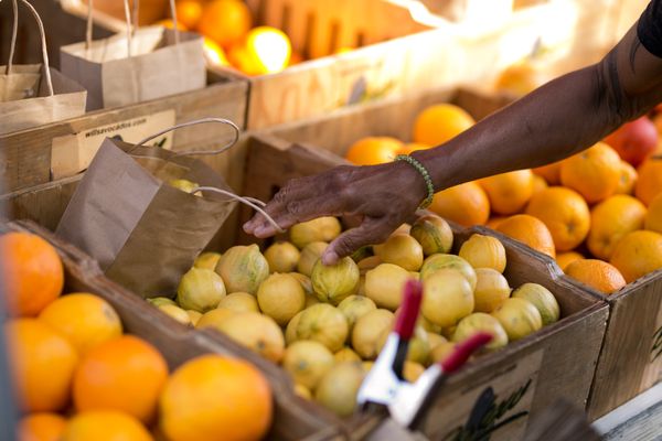 South Berkeley Farmers' Market by null