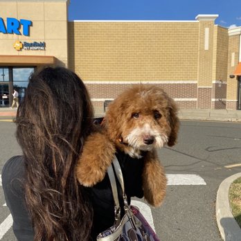 PetSmart - On the way to puppy training graduation day. - Pet Training Near Me - Garfield, New Jersey