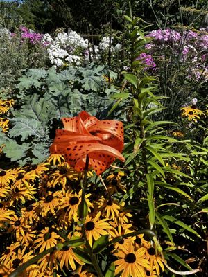 Green Bay Botanical Garden by null
