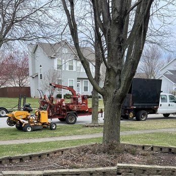 Mendez Tree Services - Tree Services Near Me - Naperville, Illinois