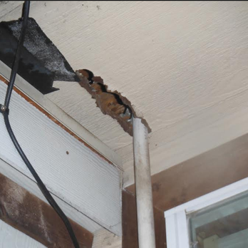 Happier Home Inspections - Home Inspectors Near Me - Plano, Texas Happier Home Inspections - Home Inspectors Near Me - Plano, Texas