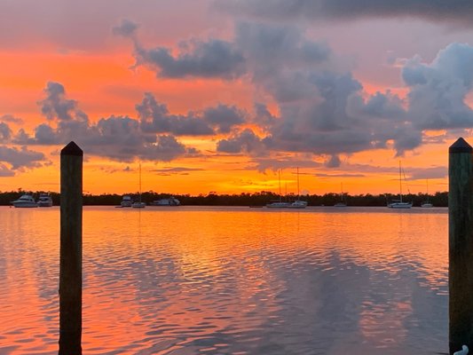 Coconut Palm Inn by null