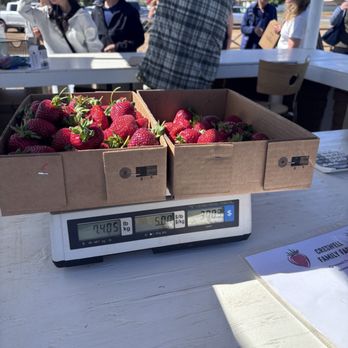 Creswell U pick - $5 per pound - Pick Your Own Farms Near Me - Brentwood, California Creswell U pick - $5 per pound - Pick Your Own Farms Near Me - Brentwood, California