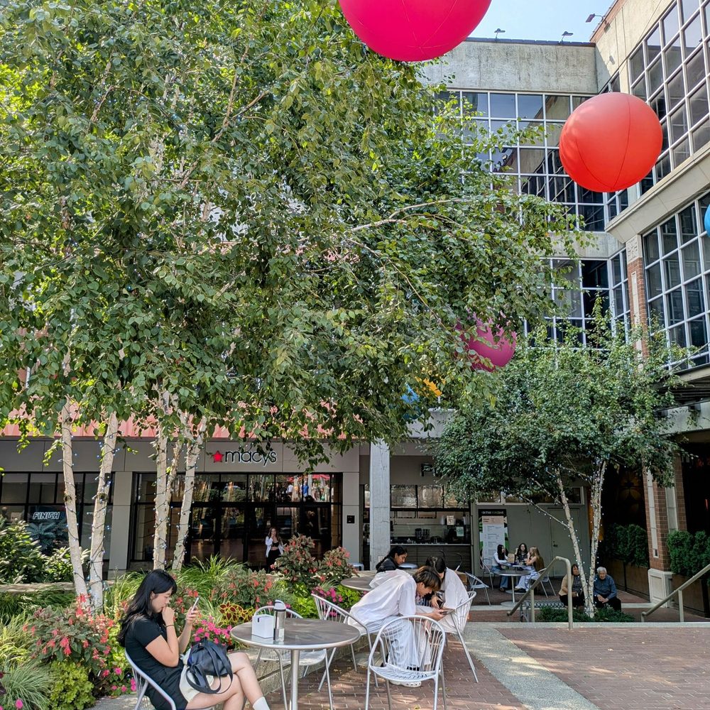 Bellevue Square - Bellevue Square Main Entrance via Macy's - Shopping Centers Near Me - Bellevue, Washington Bellevue Square - Bellevue Square Main Entrance via Macy's - Shopping Centers Near Me - Bellevue, Washington